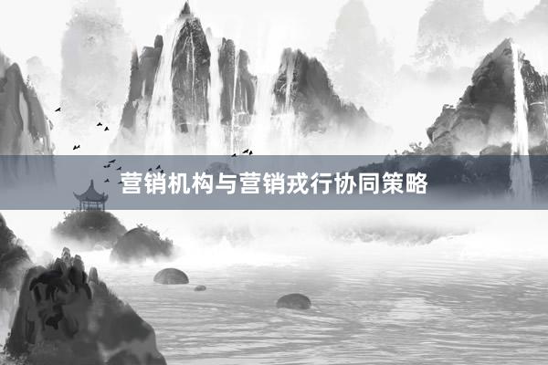 营销机构与营销戎行协同策略